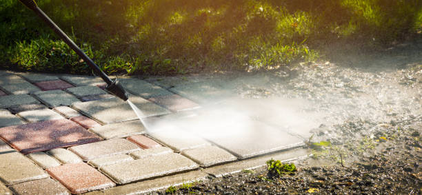 Best Soft Washing  in Clayton, MO